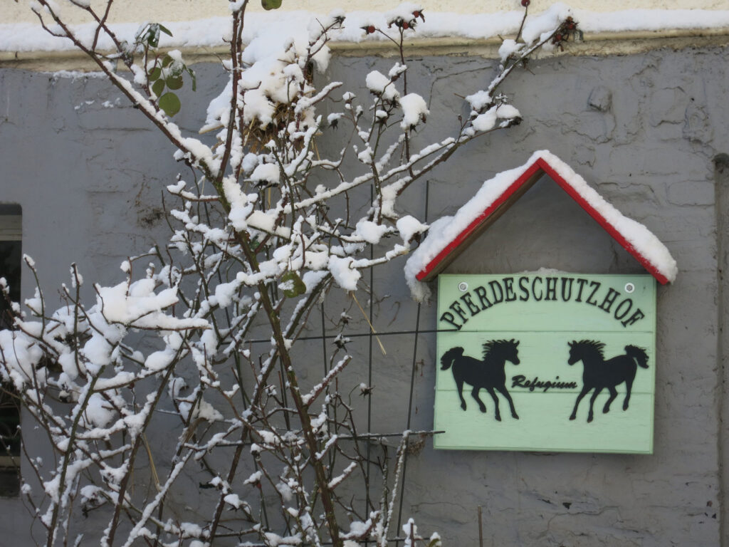 Der Pferdeschutzhof Refugium